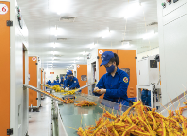 Liên tục nâng cấp hệ thống thiết bị máy móc để tăng năng suất lao động