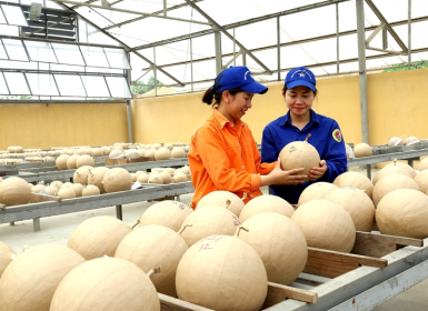 Nhà máy Z121: Tiếp tục phát huy đơn vị vững mạnh toàn diện